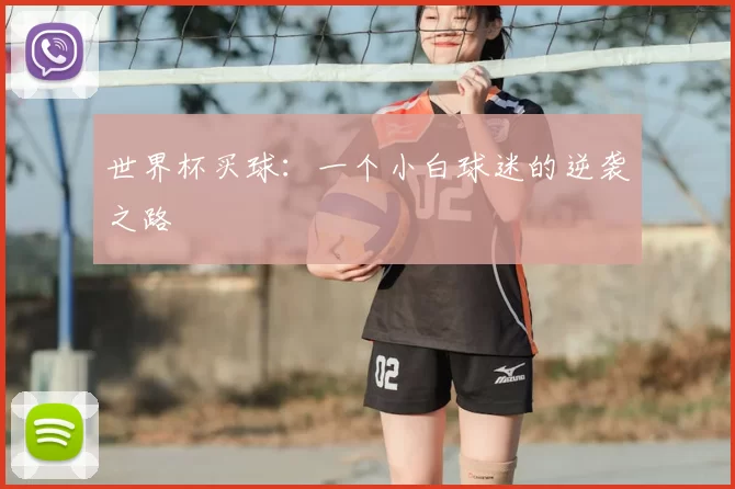 世界杯买球：一个小白球迷的逆袭之路