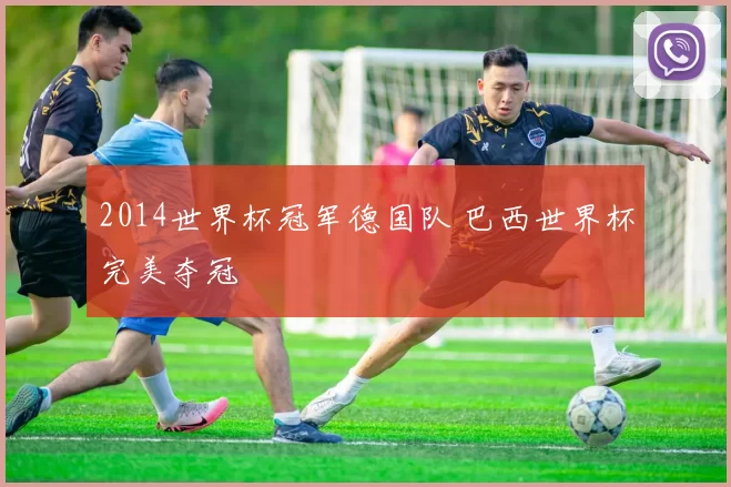 2014世界杯冠军德国队 巴西世界杯完美夺冠