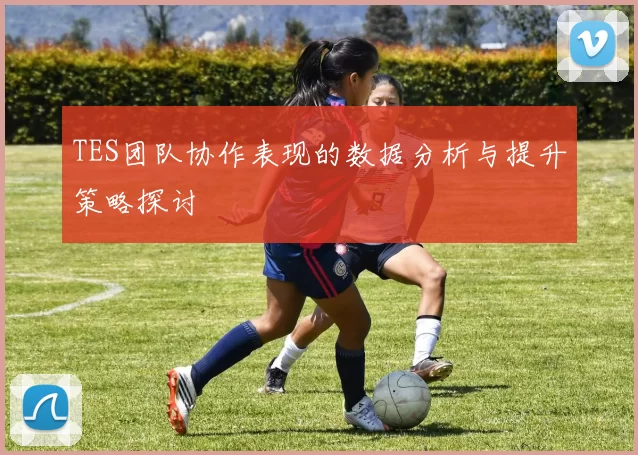 TES团队协作表现的数据分析与提升策略探讨