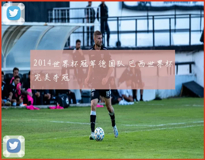 2014世界杯冠军德国队 巴西世界杯完美夺冠