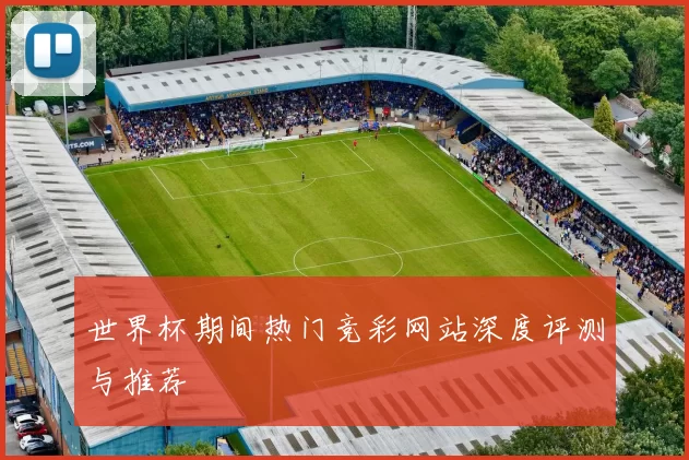 世界杯期间热门竞彩网站深度评测与推荐