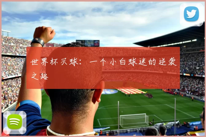 世界杯买球：一个小白球迷的逆袭之路