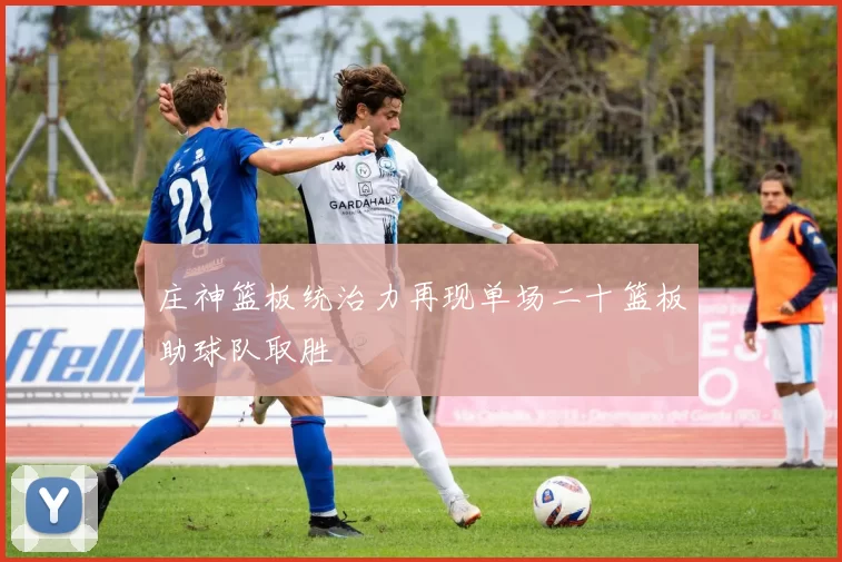 庄神篮板统治力再现单场二十篮板助球队取胜