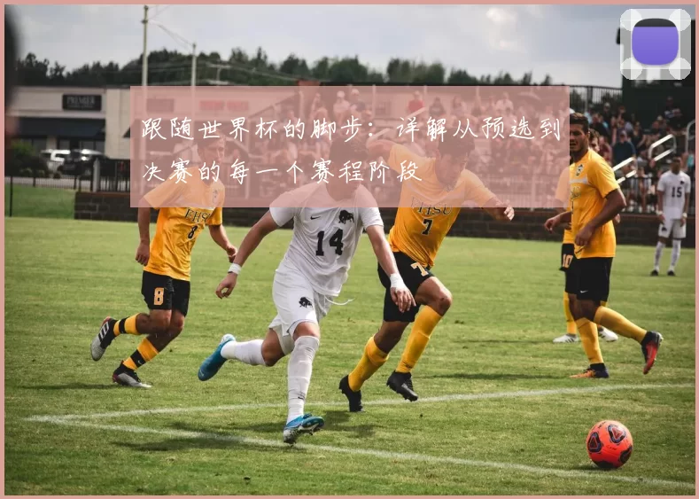 跟随世界杯的脚步：详解从预选到决赛的每一个赛程阶段