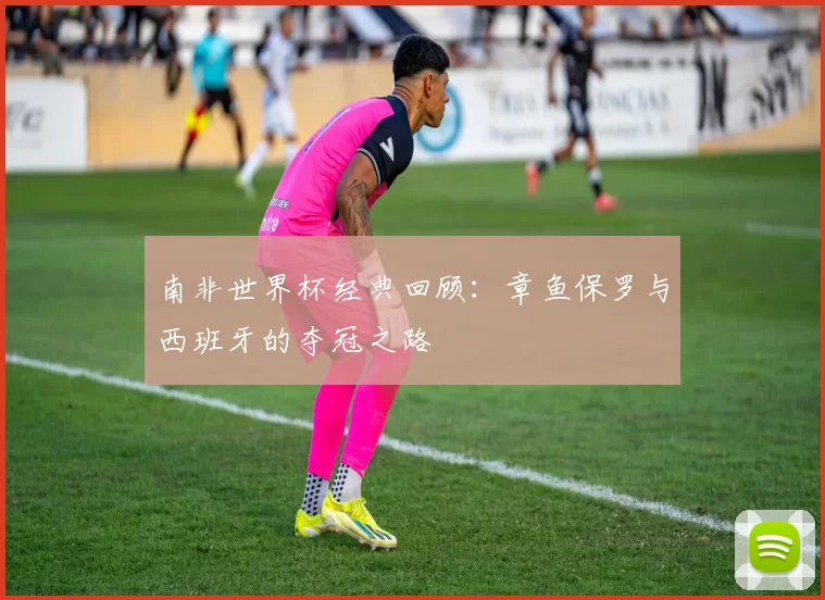 南非世界杯经典回顾：章鱼保罗与西班牙的夺冠之路