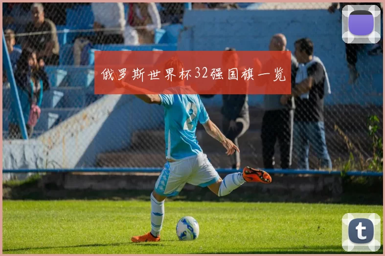 俄罗斯世界杯32强国旗一览