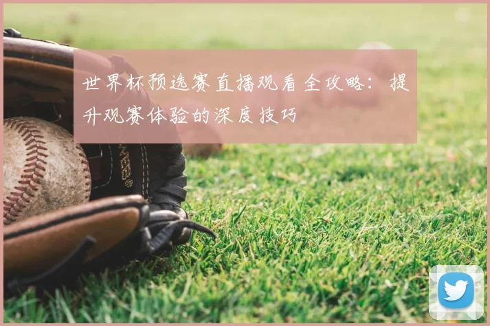 世界杯预选赛直播观看全攻略：提升观赛体验的深度技巧
