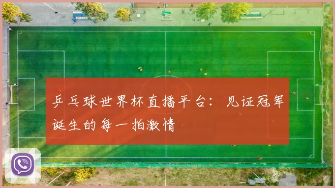 乒乓球世界杯直播平台：见证冠军诞生的每一拍激情